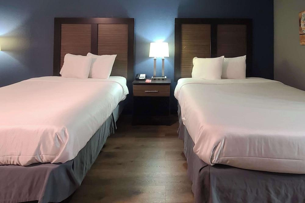 Econo Lodge Forest City photo 17