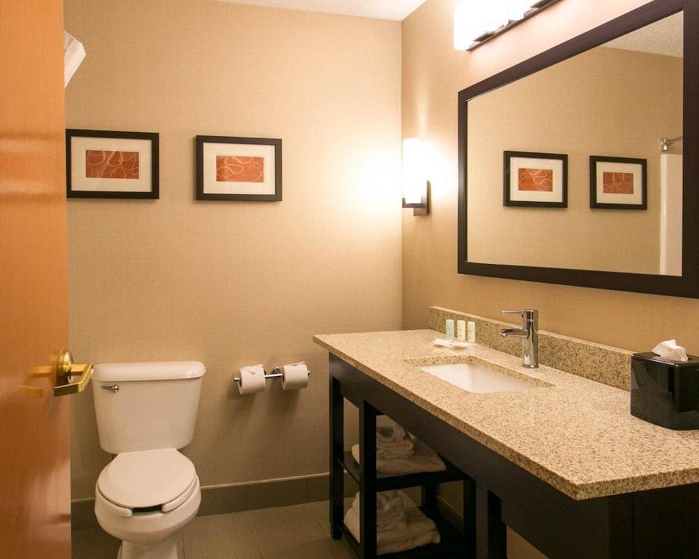 Comfort Suites Benton Harbor - St. Joseph photo 10