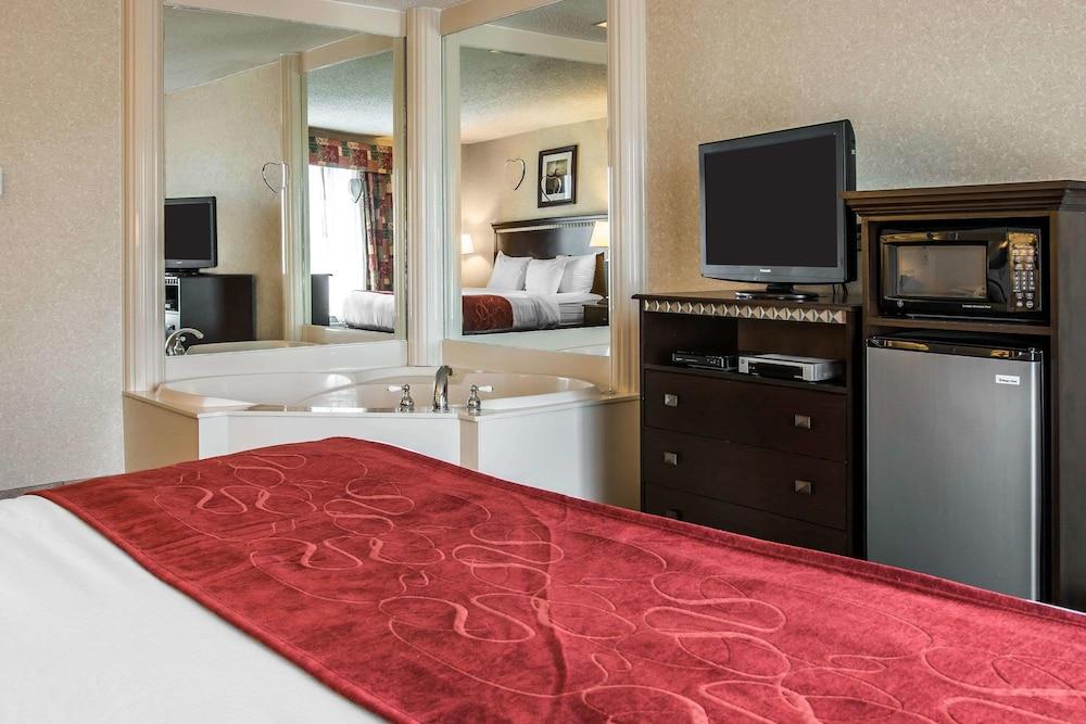 Comfort Suites Canton - Detroit photo 38