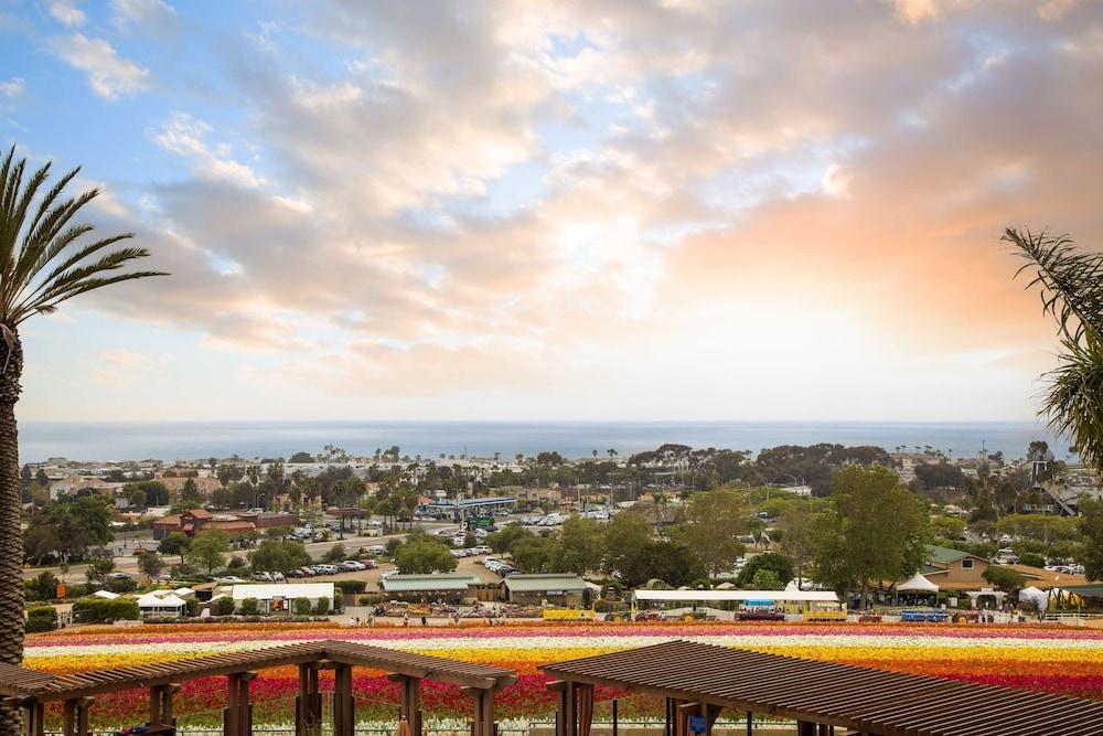 Grand Pacific Palisades photo 60