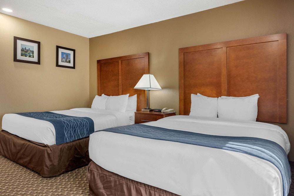 Comfort Inn Indianapolis South photo 8