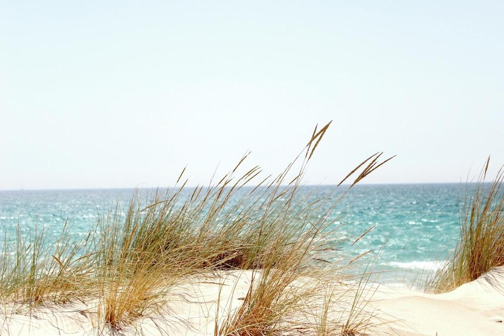 Ocean Sands Beach Boutique Inn - Stay At the Beach photo 72