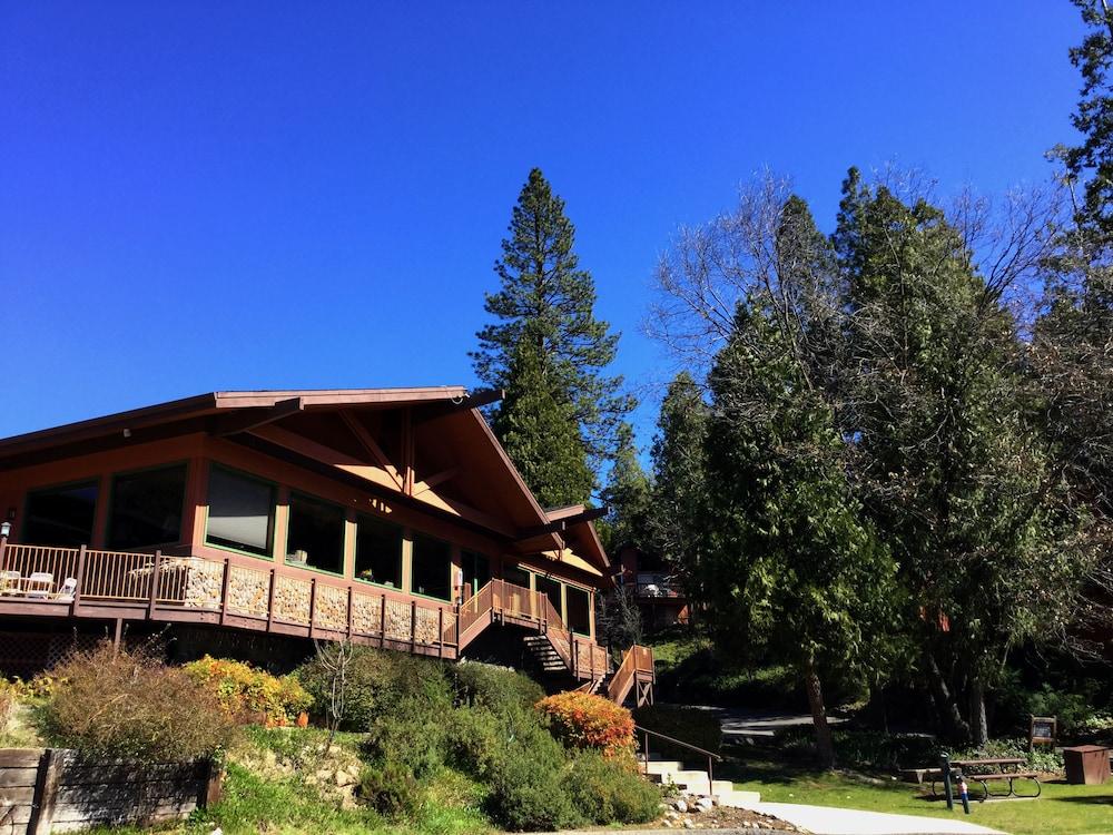 The Pines Resort photo 58