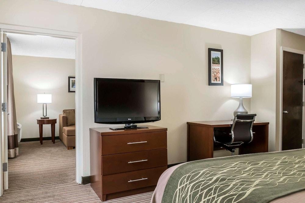 Comfort Inn - Pocono Mountains photo 31
