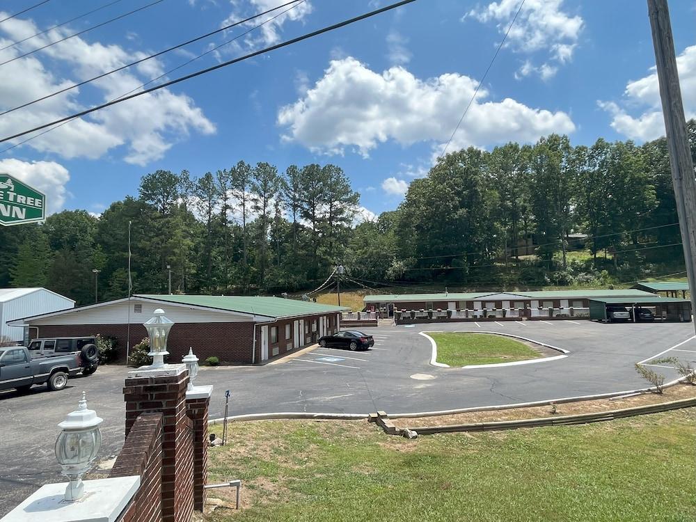 Pine Tree Inn photo 46