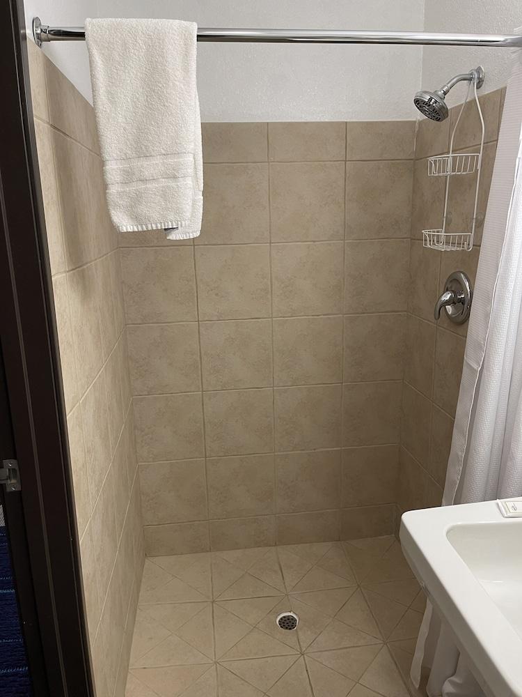 Walker Hotel photo 32