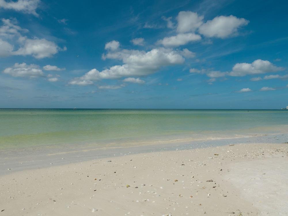 Siesta Palms By the Beach photo 27