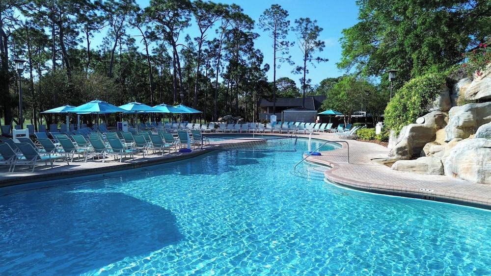 Innisbrook Resort photo 87