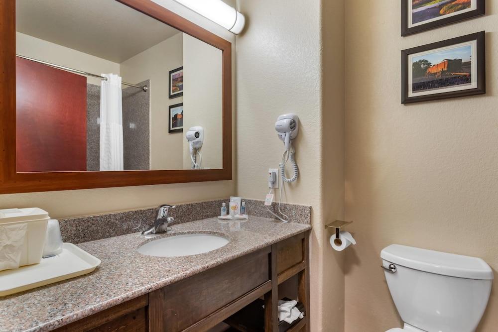 Comfort Inn & Suites Navasota photo 8
