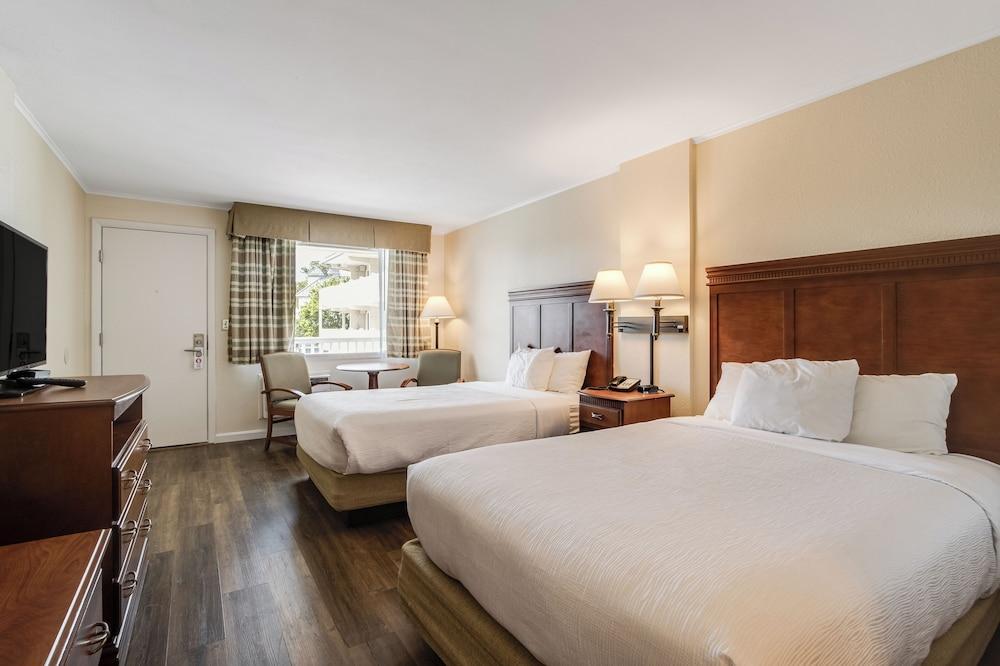Oceanus Motel photo 18