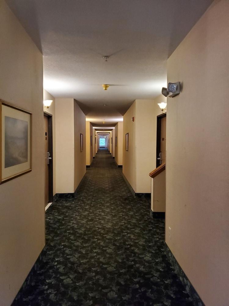Bellis Inn photo 27