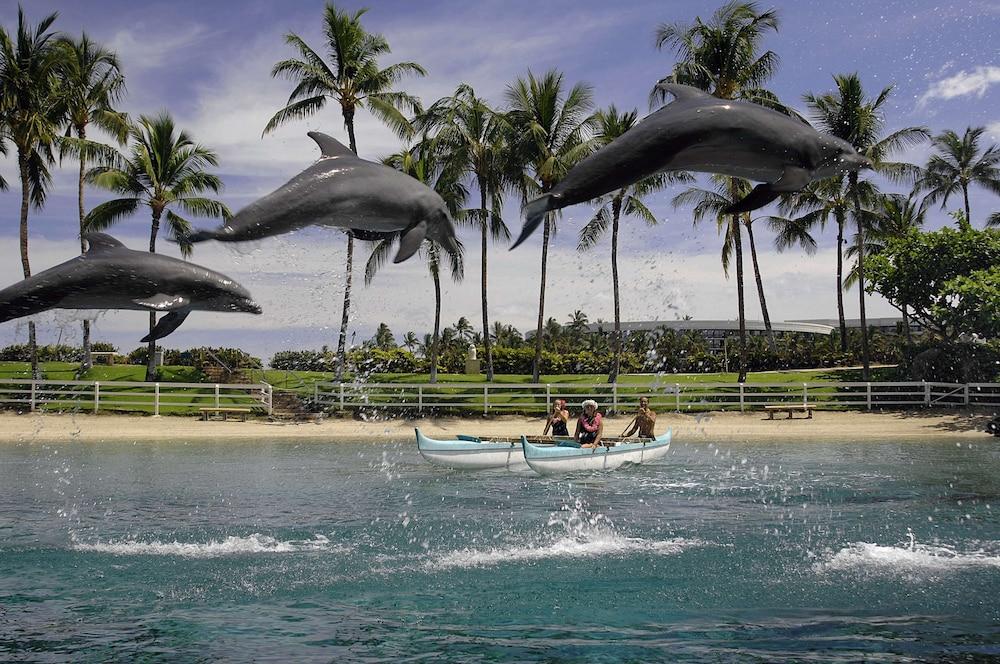 Hilton Grand Vacations Club Ocean Tower Waikoloa Village photo 81