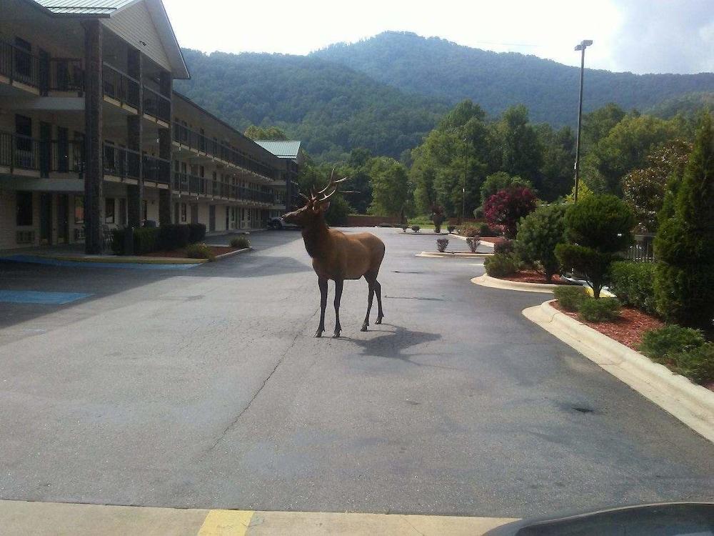 Cherokee Lodge photo 34
