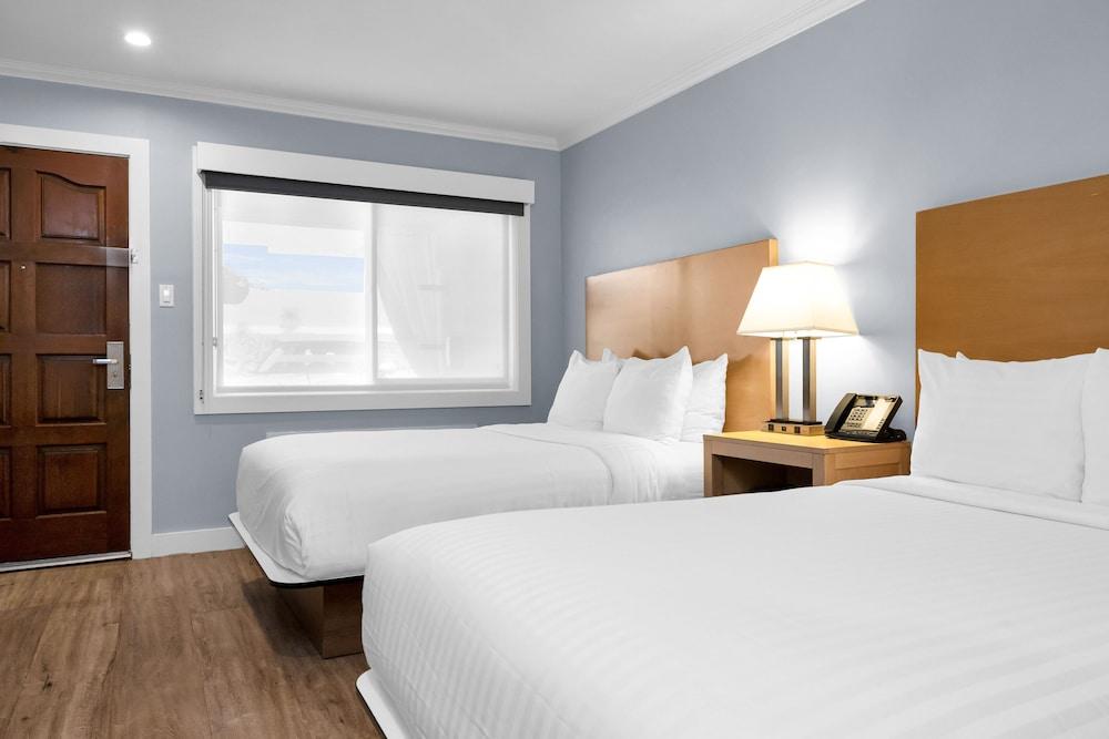 The Millwood - A Boutique Hotel photo 39