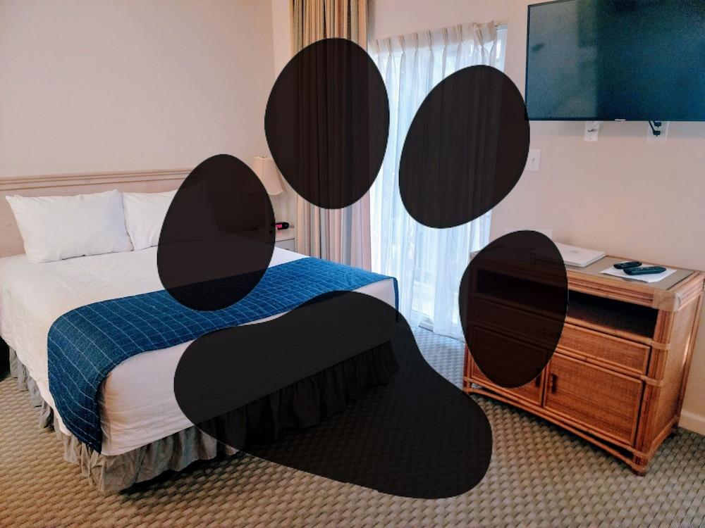Beaufort Harbour Suites photo 9