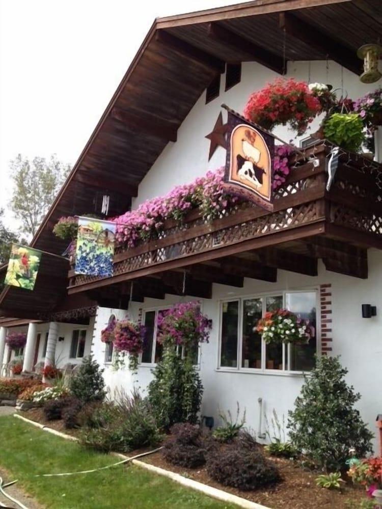 The Olympia Lodge photo 10