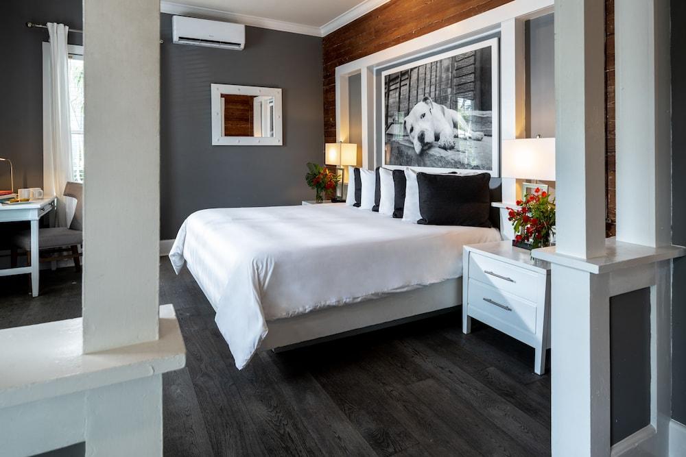 Alexanders Guesthouse - Adult Exclusive, LGBTQ Friendly photo 56