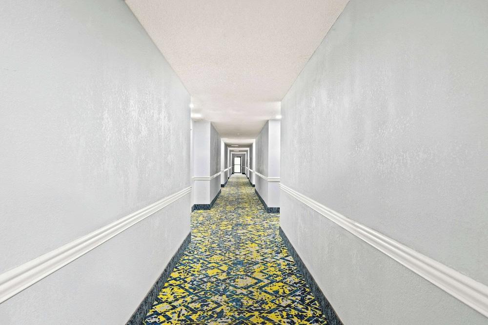 Econo Lodge London North photo 33