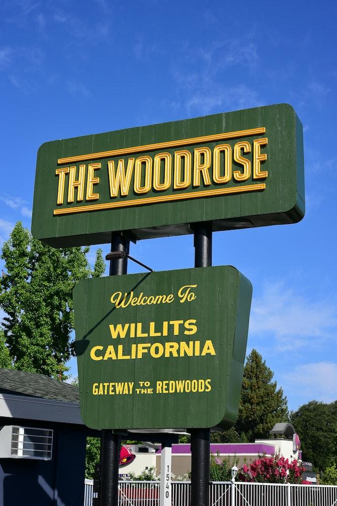 The Woodrose photo 16