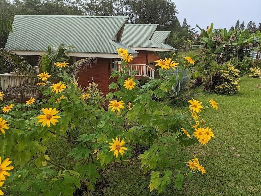 Kikala Waterfall Lodge photo 7