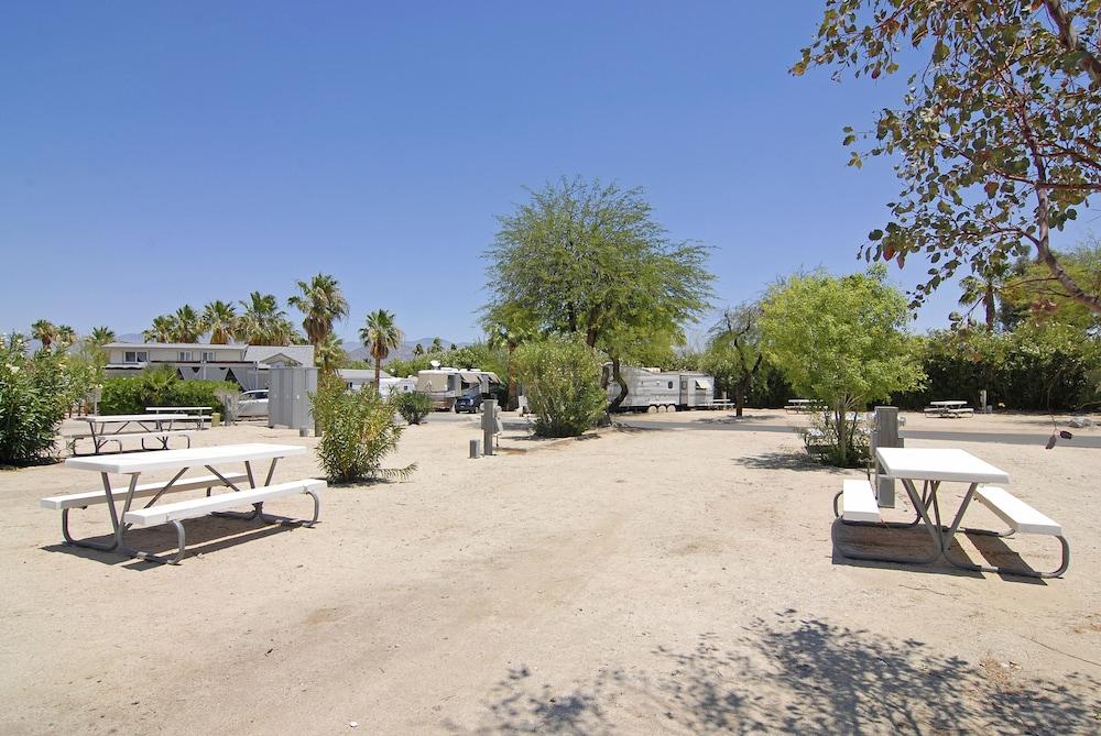Palm Canyon Hotel & RV Resort photo 9
