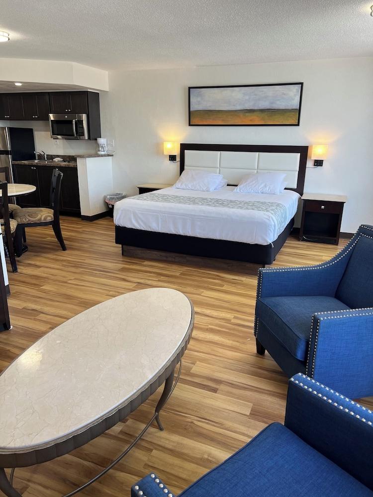 Flamingo Inn Beachfront photo 45