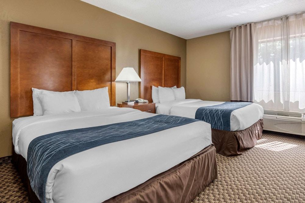 Comfort Inn Indianapolis South photo 15