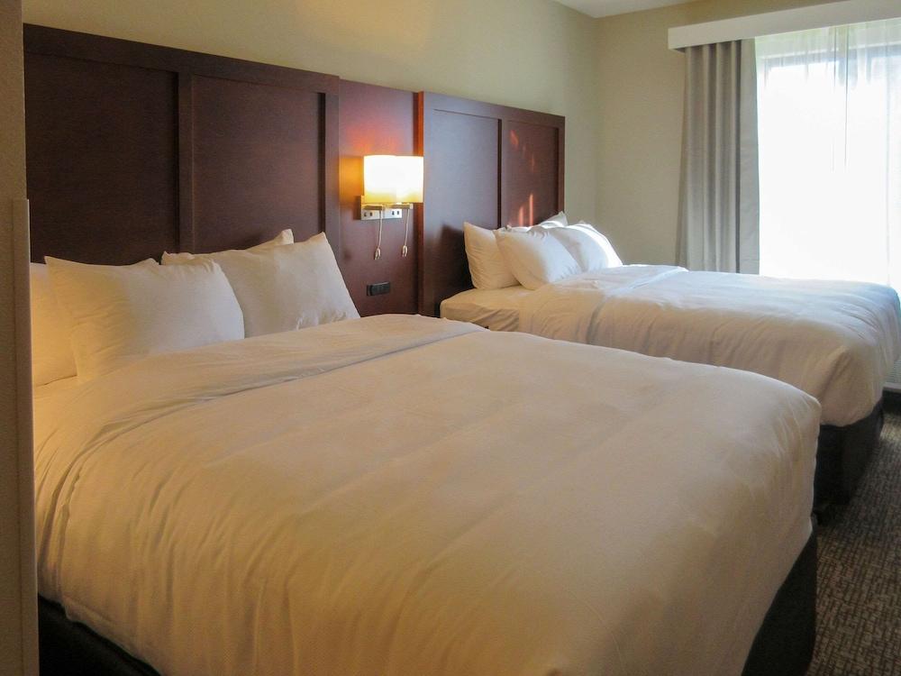 Comfort Suites Summerville photo 7