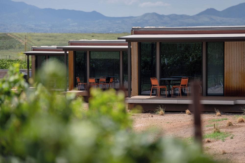 Casitas at Los Milics Vineyards photo 6
