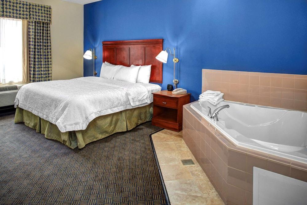 Hampton Inn Coldwater photo 5