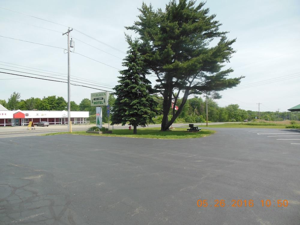 The Evergreen Motel photo 76