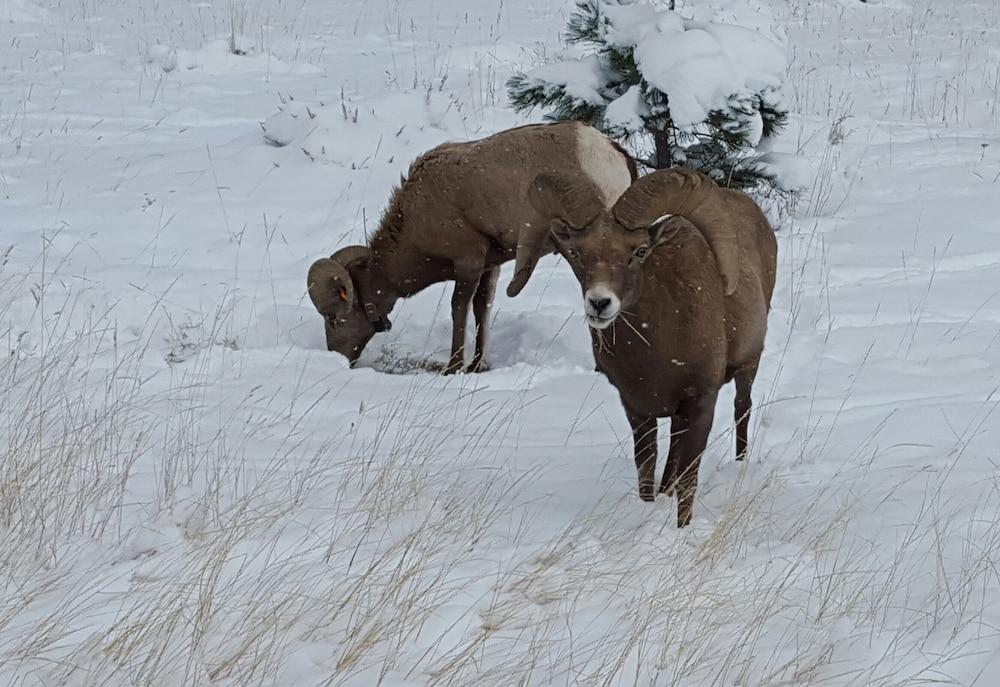 Flaming Gorge Hideout photo 35