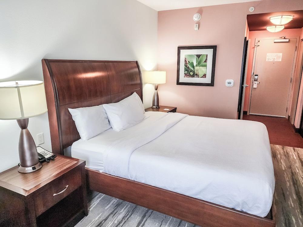 Hilton Garden Inn Memphis/Wolfchase Galleria photo 11