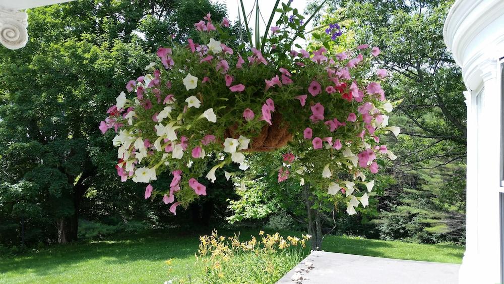 Hillholm Estate photo 32