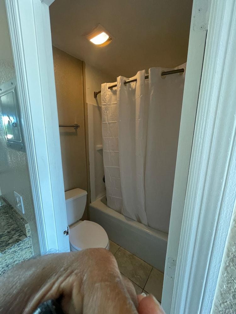 Royal Inn photo 9