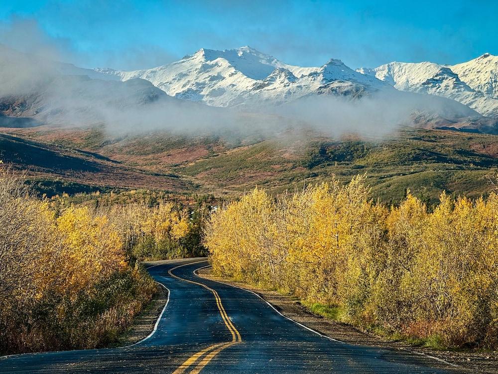 Denali Lakeview Inn photo 8