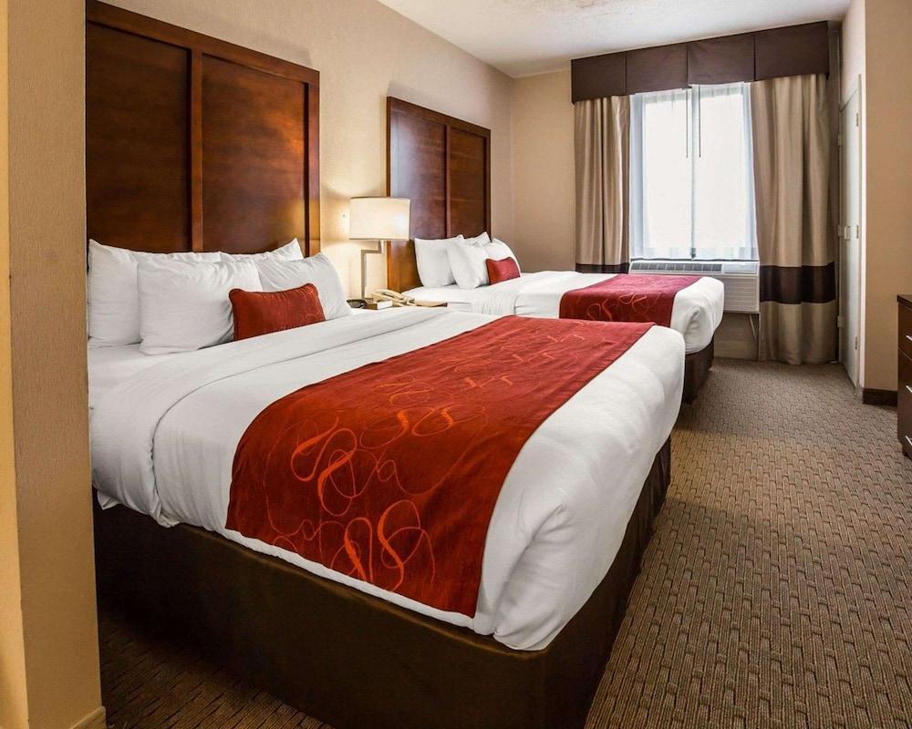 Comfort Suites Stafford Near Sugarland photo 9