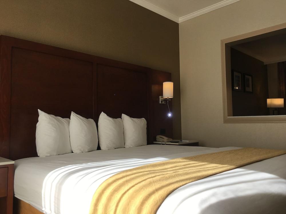 MainStay Suites John Wayne Airport by Choice Hotels photo 49