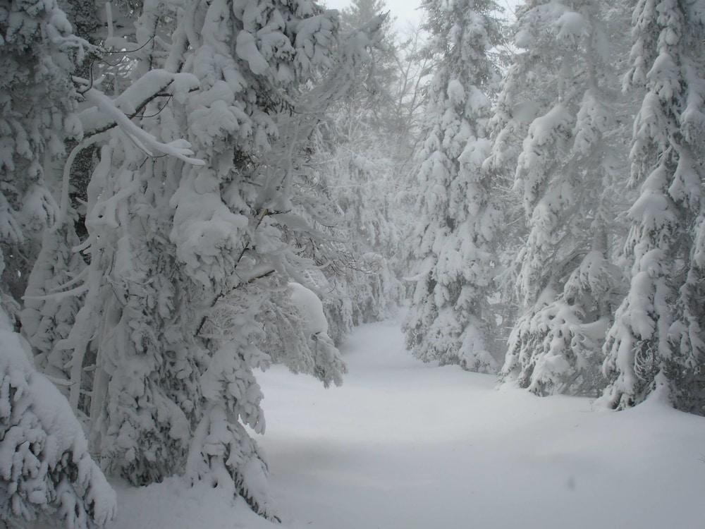 Chicaugon Lake Inn photo 25