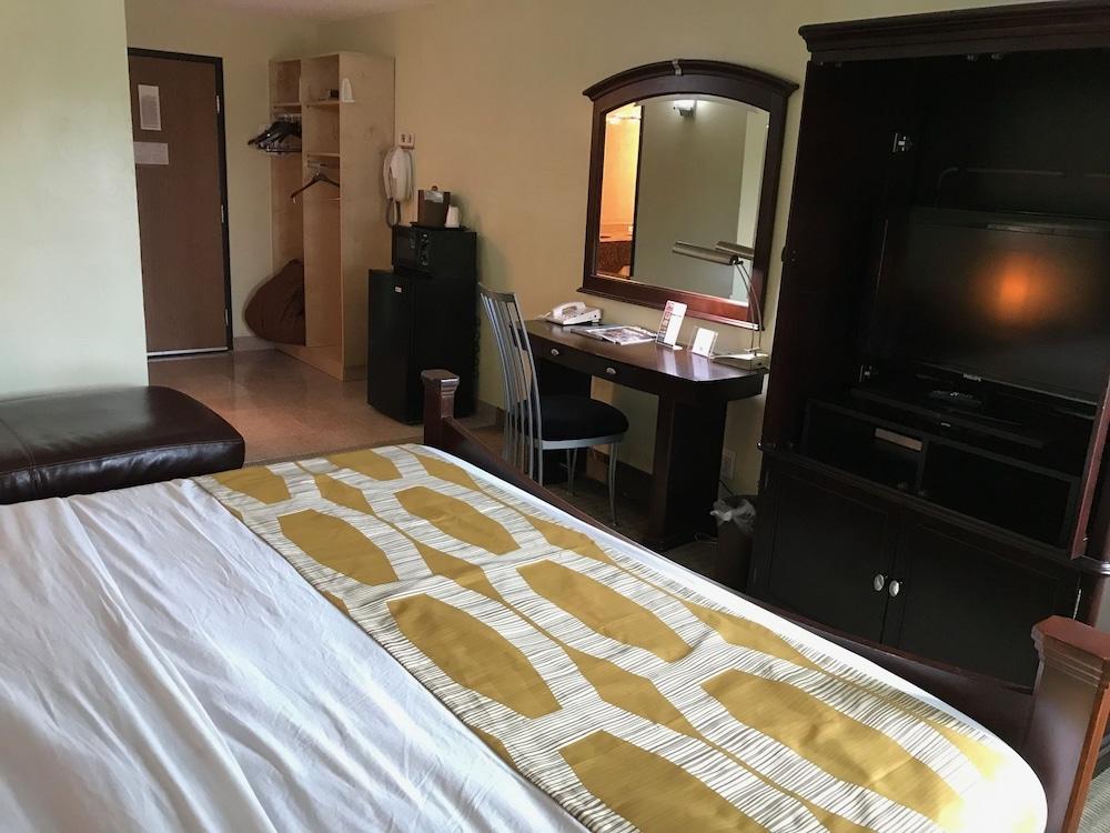 Marvin's Garden Inn photo 12