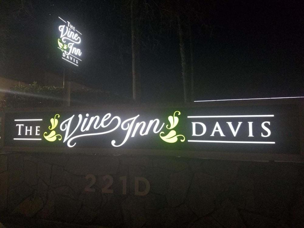 The Vine Inn Davis photo 27