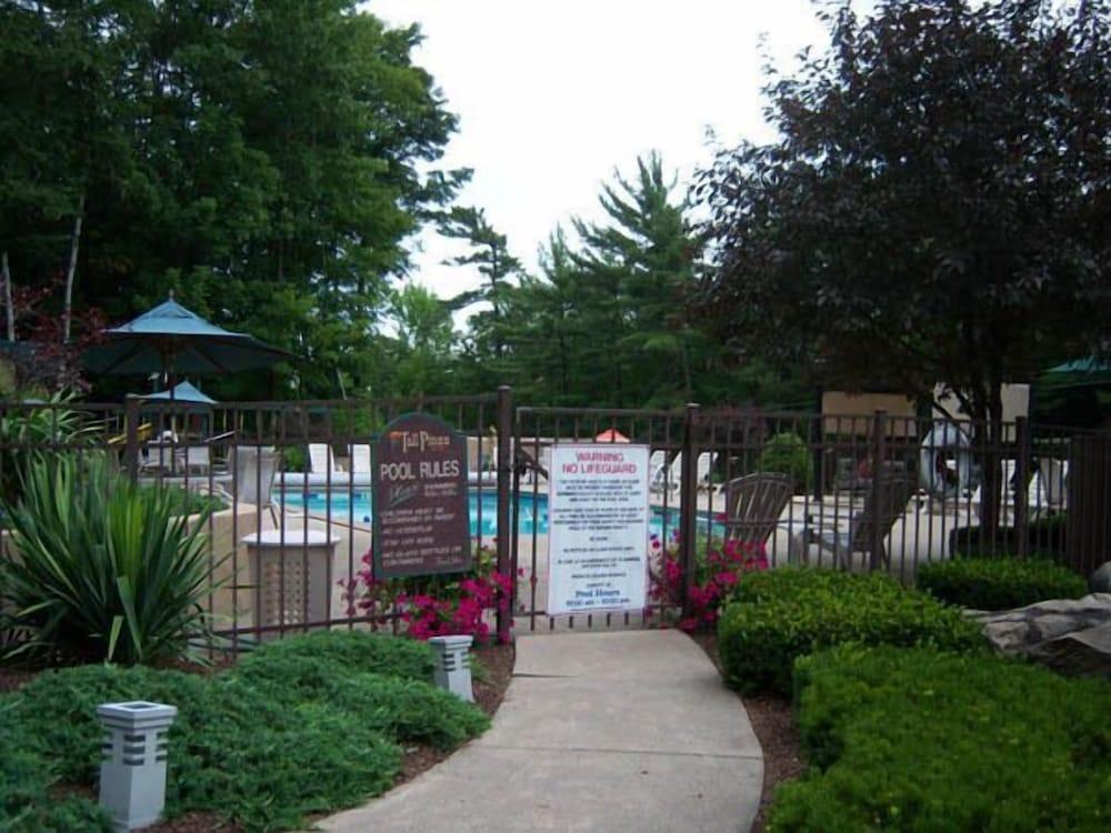 Tall Pines Motel photo 14