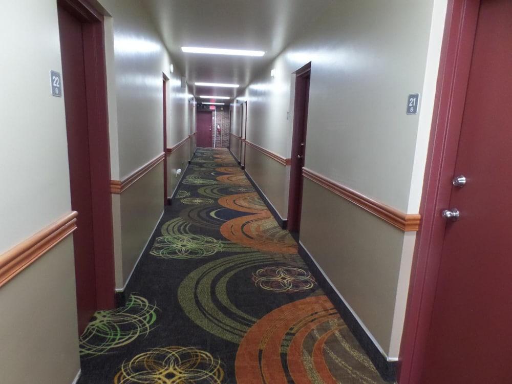 Executive Inn photo 5