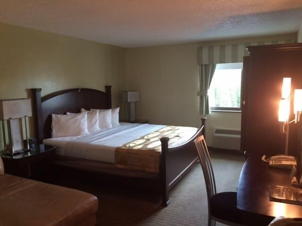 Marvin's Garden Inn photo 17