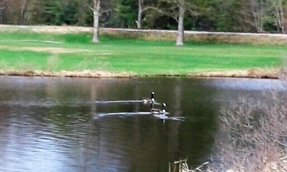 Jack O'Lantern Resort and Golf Course photo 7