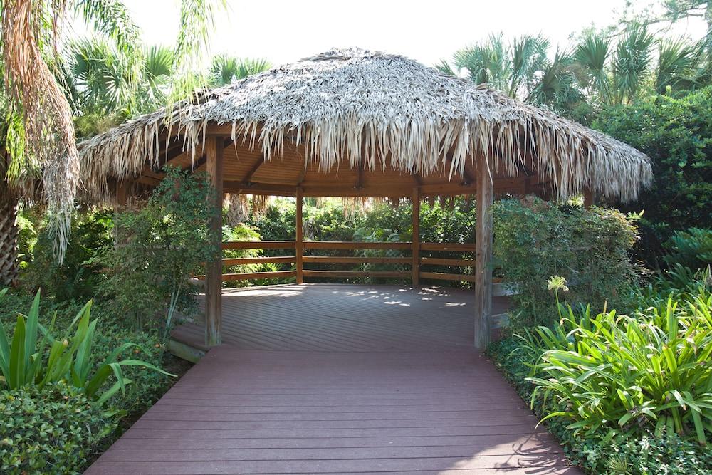 Bahama Bay Resort photo 81