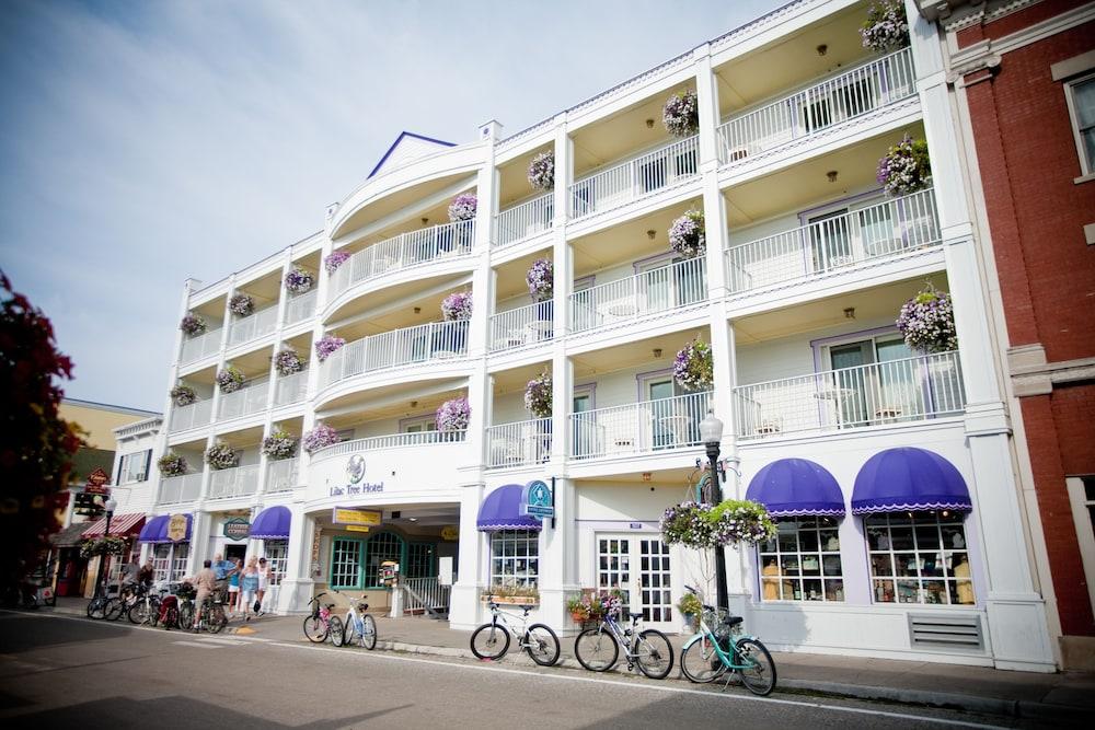 Lilac Tree Suites photo 15