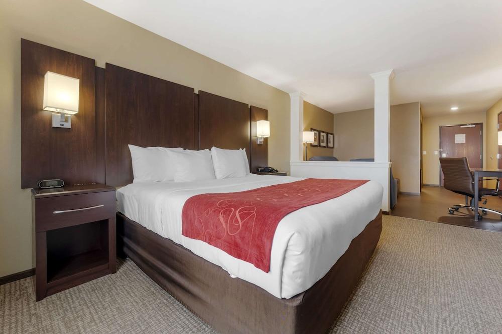 Comfort Suites and Conference Center photo 2