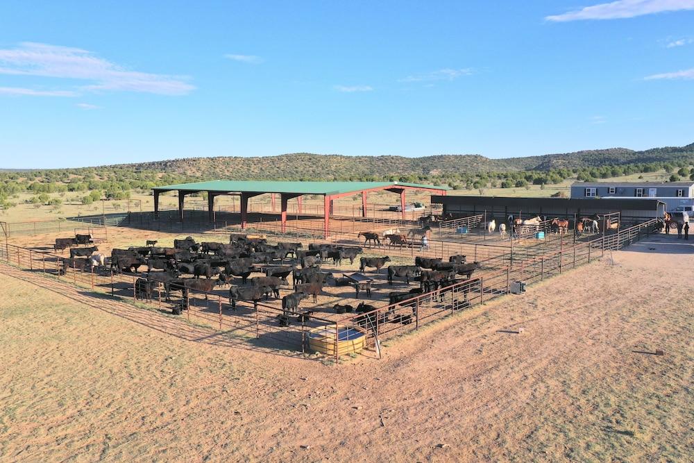 Teepee Lodge with Equus & Firearms/ranch photo 38