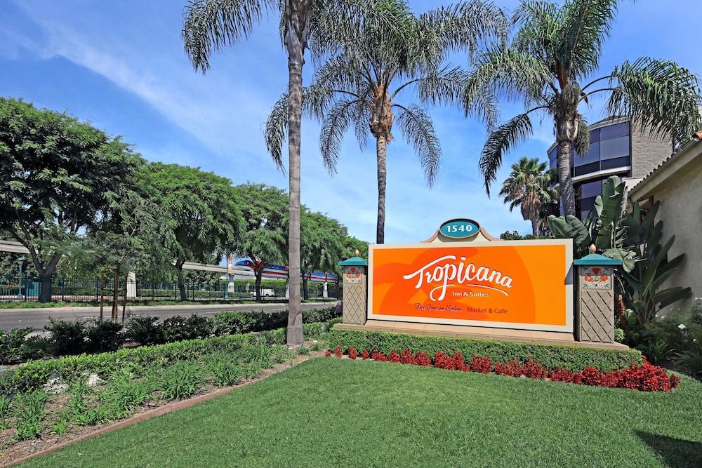 Tropicana Inn and Suites photo 21